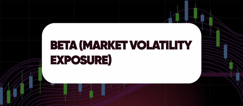 Recent blog post: BETA (MARKET VOLATILITY EXPOSURE)