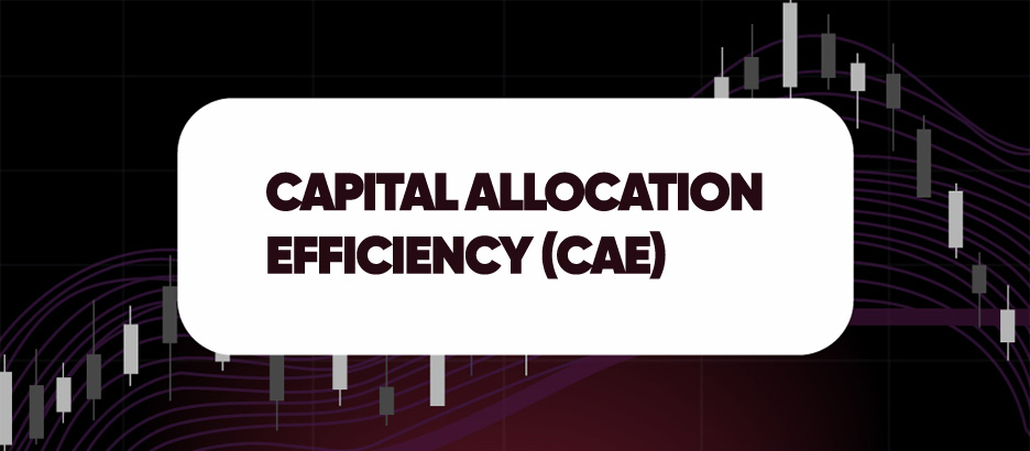 Recent blog post: CAPITAL ALLOCATION EFFICIENCY (CAE)