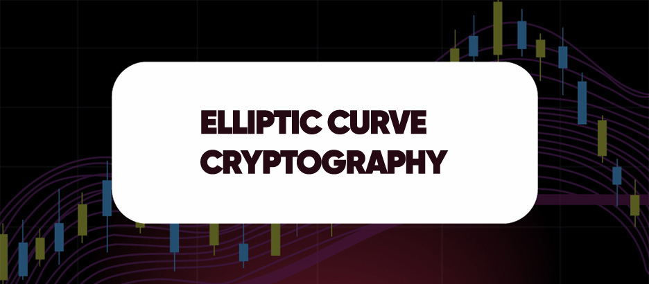 Recent blog post: ELLIPTIC CURVE CRYPTOGRAPHY