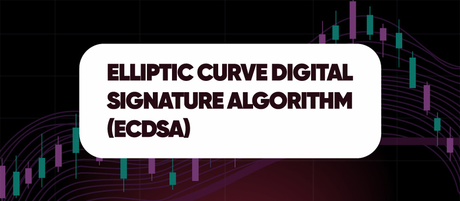 Recent blog post: ELLIPTIC CURVE DIGITAL SIGNATURE ALGORITHM (ECDSA)