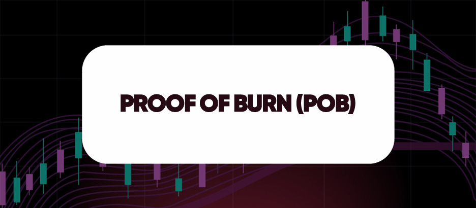 Recent blog post: PROOF OF BURN (POB)