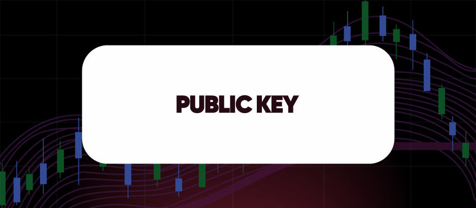 Recent blog post: PUBLIC KEY