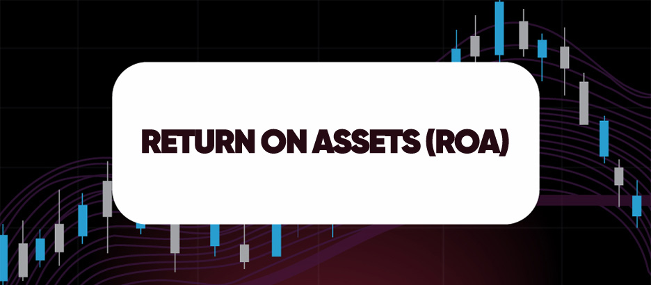 Recent blog post: RETURN ON ASSETS (ROA)