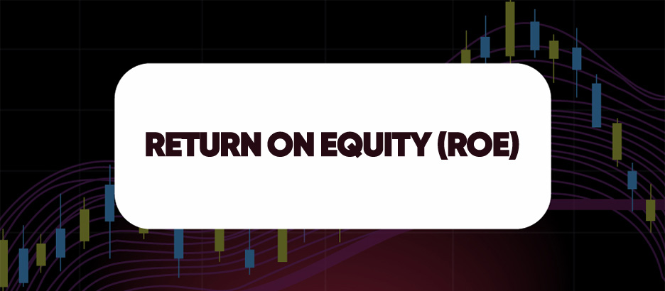 Recent blog post: RETURN ON EQUITY (ROE)