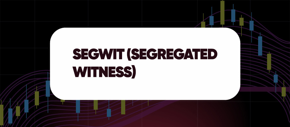 Recent blog post: SEGWIT (SEGREGATED WITNESS)