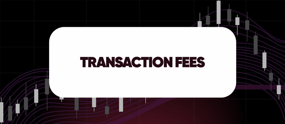 Recent blog post: TRANSACTION FEES