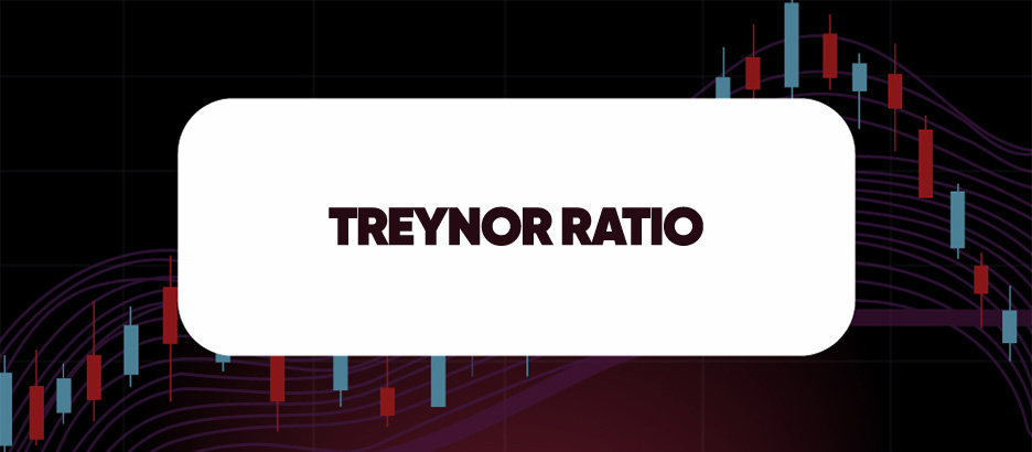 Recent blog post: TREYNOR RATIO