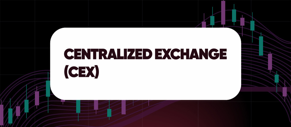 CENTRALIZED EXCHANGE (CEX)